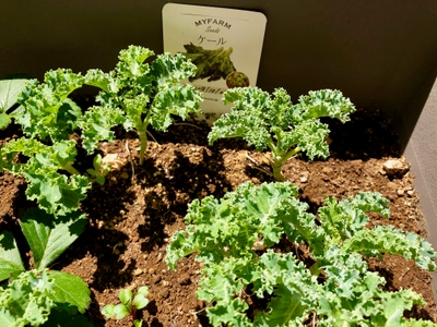 1ezWfCCeAuEzC1no1oOV.jpg?w=940&h=940