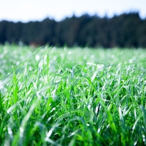 1fUmVOdiWUFLDrtr1WXE.jpeg?w=940&h=940