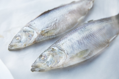 1grgp3iJqcB3GPaOpcv8.jpg?w=940&h=940