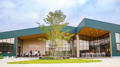 1h6kdmtUhb7agRbOVWU6.jpg?w=940&h=940