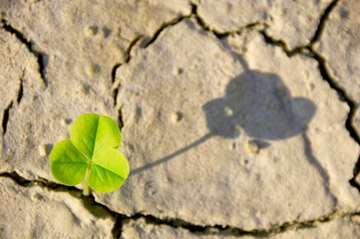 1hCo9R0bmrvfmubAwS7o.jpeg?w=940&h=940