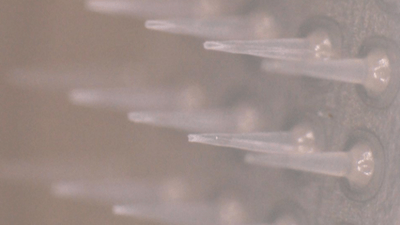 1hOLaUDVDgEryGcmHm1f.png?w=940&h=940