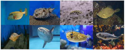 1heD70MI602z9eoF8KET.png?w=940&h=940