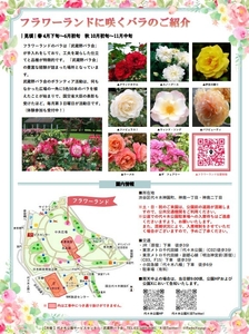 1iGbyvkoY9ZfcTf0zj3L.jpg?w=940&h=940