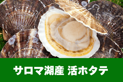 1j1E5KE8AJXWe5RmJuyL.png?w=940&h=940