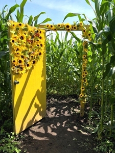 1j35JSBhyDjhbvUiH0k3.jpg?w=940&h=940