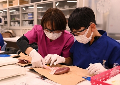 1jdweNBkFbC78xoSIb20.jpg?w=940&h=940