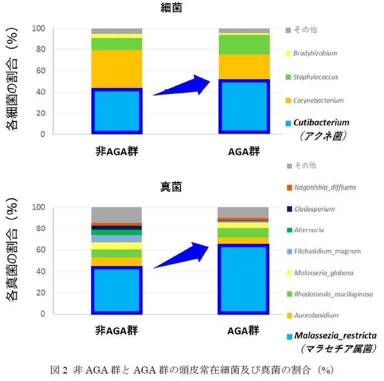 図2 非AGA群とAGA群の頭皮常在細菌及び真菌の割合(%)