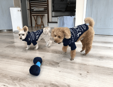 1luqvDCBtrRge54HQsch.png?w=940&h=940