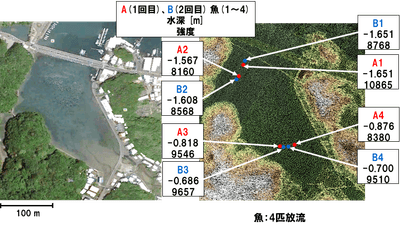 魚を用いたレーザー探索システムの基礎実験