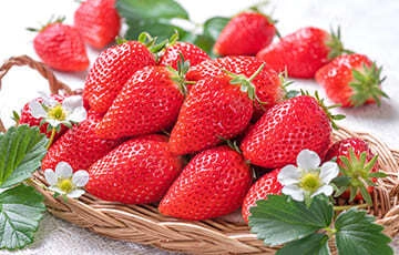 鳥取県のヨーグルト専門店「三朝ヨーグルト」が 罪悪感のないご褒美スイーツヨーグルト 「まるでショートケーキの苺と生クリームのヨーグルト」を発売！