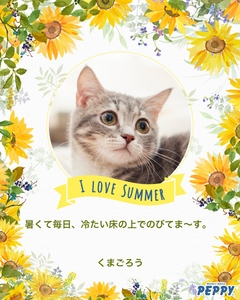 1o102qikbPZsu0Uyq6DR.jpg?w=940&h=940