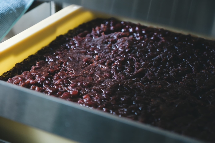 鳥取大納言小豆を使用した自家製粒餡