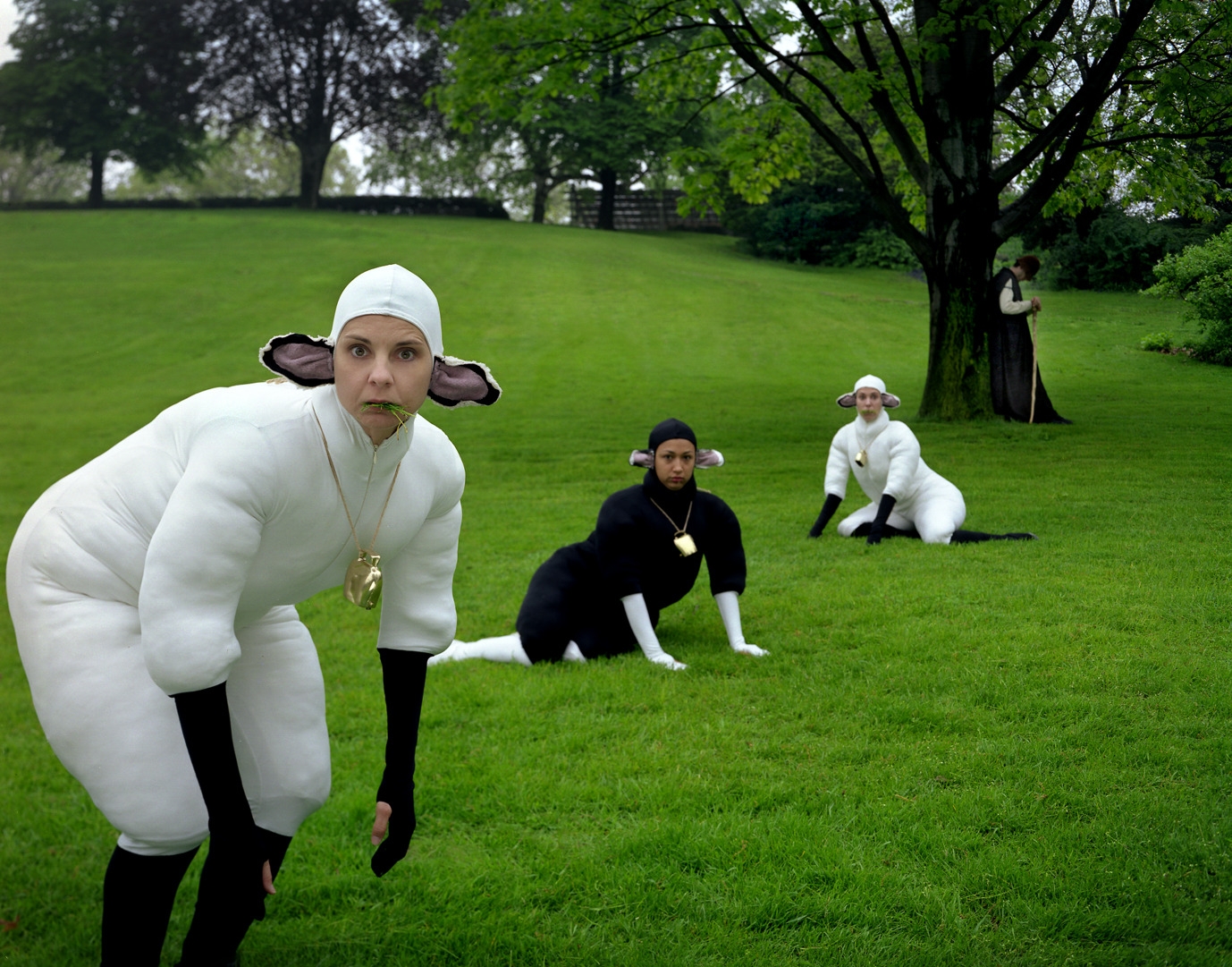 『ひつじ』コープス