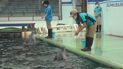 1ptamUSdzdnftcYS7Euc.jpg?w=940&h=940