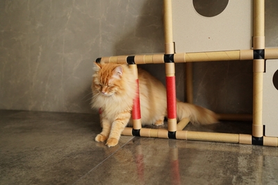 1rZwBhgYYsCvFTUEKtZH.JPG?w=940&h=940