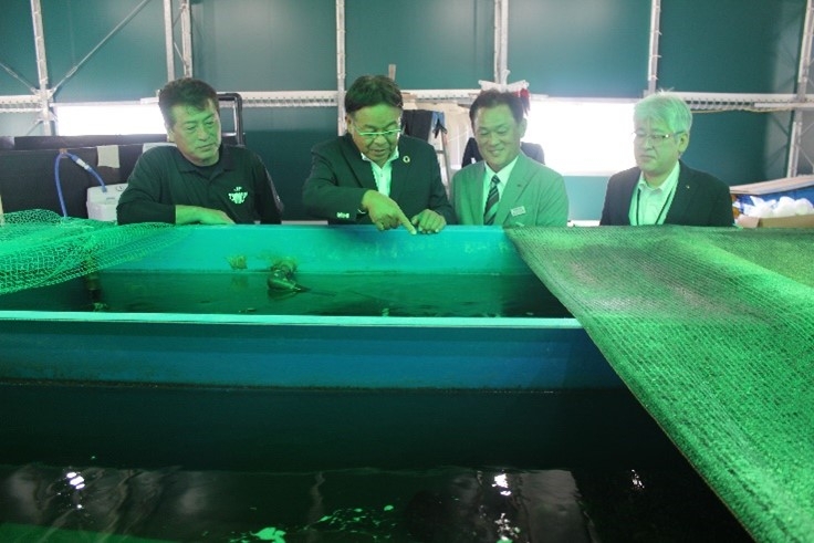 水槽の様子を見る(右から)瀬尾副町長、坂田町長、山本准教授、金谷組合長