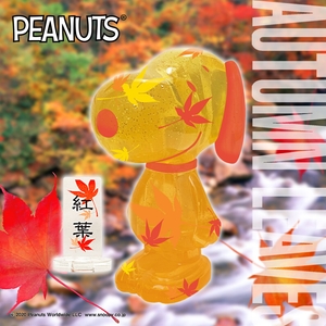 1soLsjAMR855qFLmLLp8.jpg?w=940&h=940