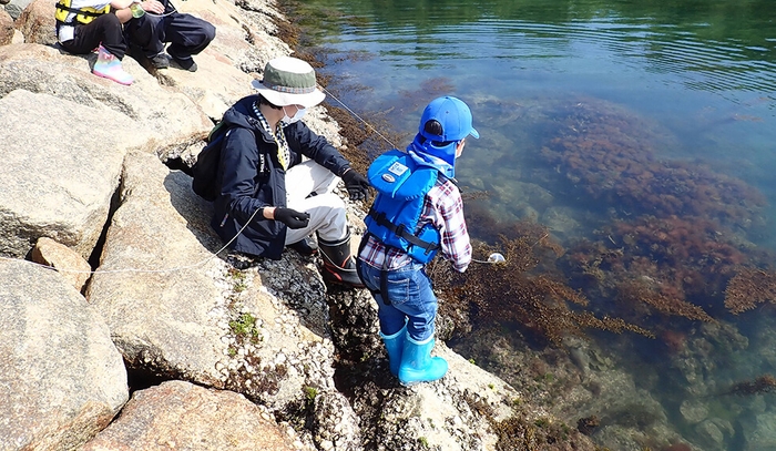 海洋生物や生態系について学習