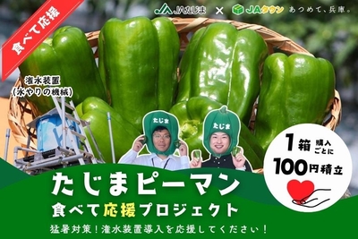 1tMdpKM2veTkXLlIVeB3.jpg?w=940&h=940