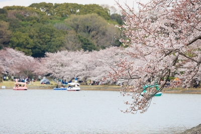 1vBvwWsj48EsFkHFVhnF.jpg?w=940&h=940