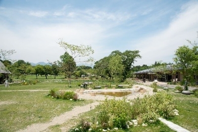 1w2gEUHV6nvmHU80RAnf.jpeg?w=940&h=940