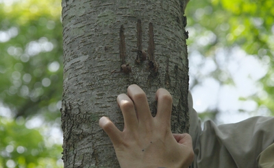 1waEDg43Ic8yTjsHetoI.jpg?w=940&h=940