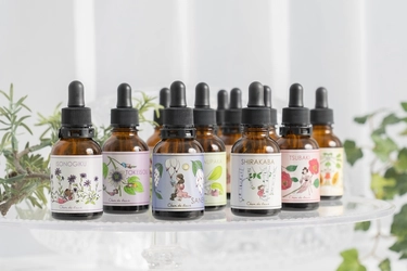 フラワーエッセンスで整える、企業向けメンタルケアプログラム 「こころのメンテナンス習慣」2025年9月より提供開始