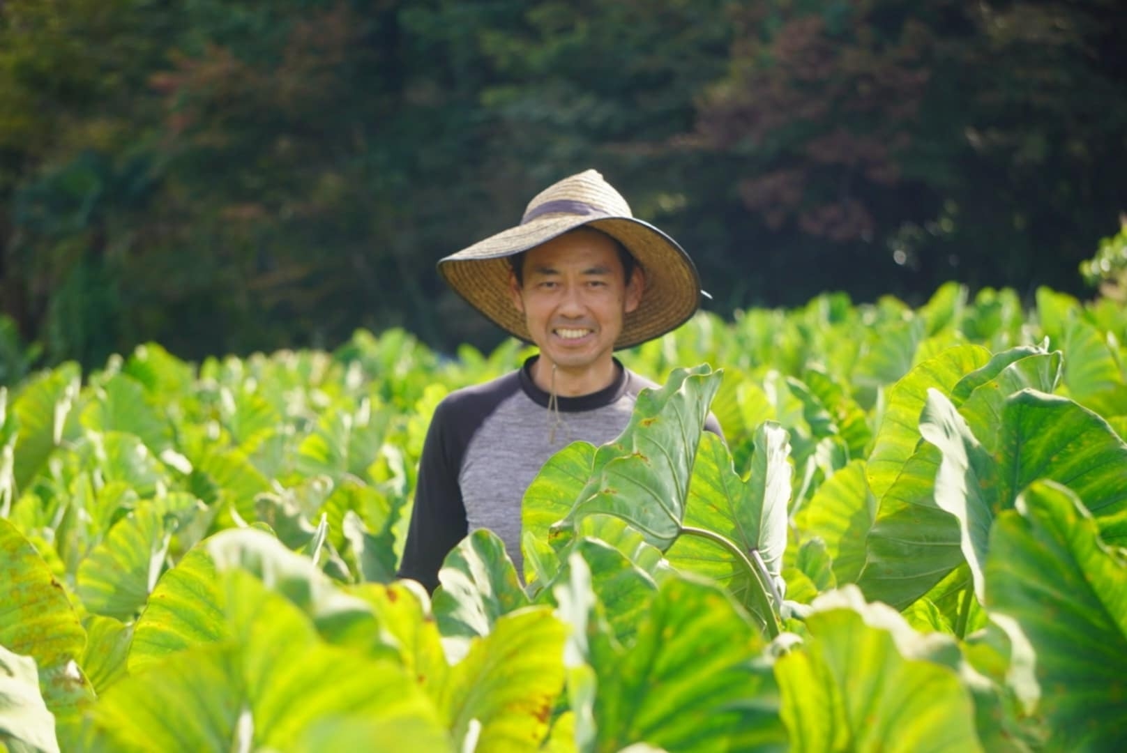 地元の農家さん(農天氣)