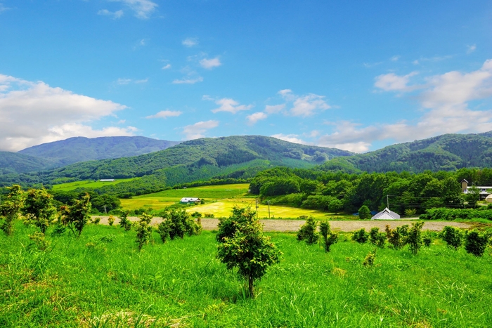イベント会場(グリーンパーク都路)