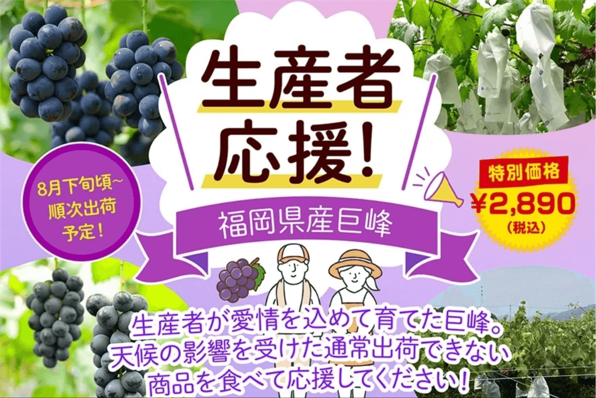 ＪＡタウン「博多うまかショップ」で規格外の「福岡県産巨峰」を特別価格で販売！
