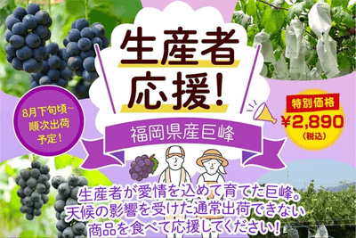 ※画像はイメージです