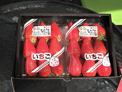 21Q1O4pZBQKURvMLPsD3.jpg?w=940&h=940