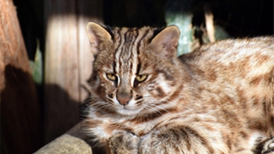 24ukTJAYATe1OauHU3Wp.jpg?w=940&h=940