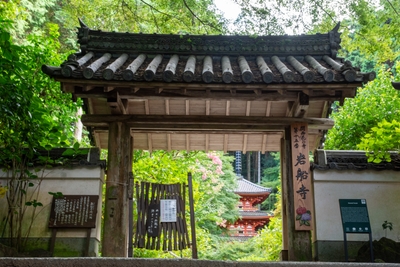 26V09raiV8BYNKWlVrSe.jpg?w=940&h=940