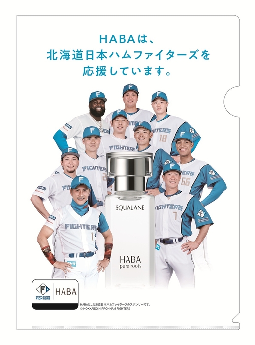 北海道日本ハムファイターズ選手オリジナルクリアファイル