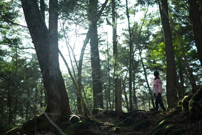 28Dh4EkUL7RsSeqfPE03.jpeg?w=940&h=940