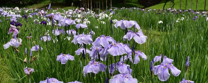 昨年5月28日の様子