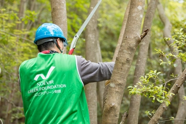 高校生以上対象 兵庫県「六甲山」の整備活動　 3月12日(水)参加者募集開始
