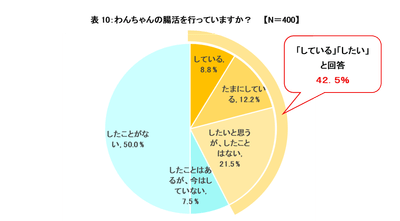 291jw7oWWut2bCdrRCo3.png?w=940&h=940