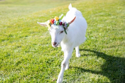 297pXxbtFLoyiLdp6qKA.jpg?w=940&h=940