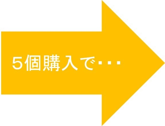 5個購入 イメージ