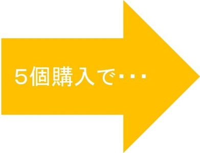 ５個購入　イメージ