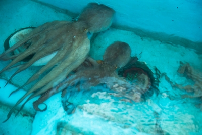 2Cj74Ta5yqyl2Y20SZz2.jpg?w=940&h=940