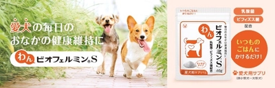 ビオフェルミンがジャパンわんこフェスタ2025inお台場に出展