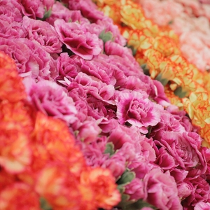 2DyVY5LpjKXCgwMsJJXx.jpg?w=940&h=940