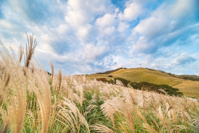 2EfFxrHtpsHlohi67anE.jpg?w=940&h=940