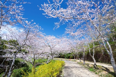 2EmWmZMStO18f0qhfD2F.jpg?w=940&h=940