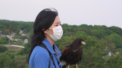 2Felsa1cUEt2csrNxF7C.jpg?w=940&h=940