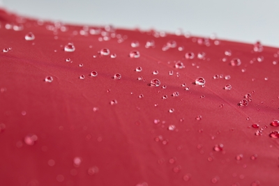 2IuIKOlTTGR3n6r5itDz.jpg?w=940&h=940